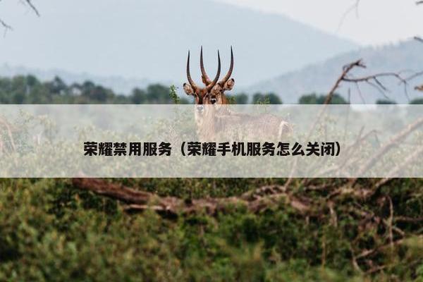 荣耀禁用服务（荣耀手机服务怎么关闭）