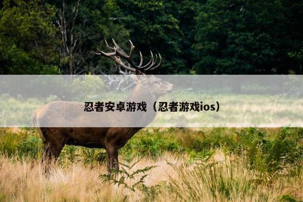 忍者安卓游戏（忍者游戏ios）