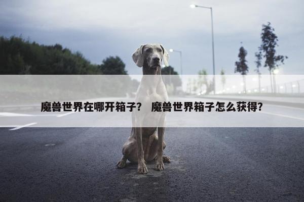 魔兽世界在哪开箱子？ 魔兽世界箱子怎么获得？