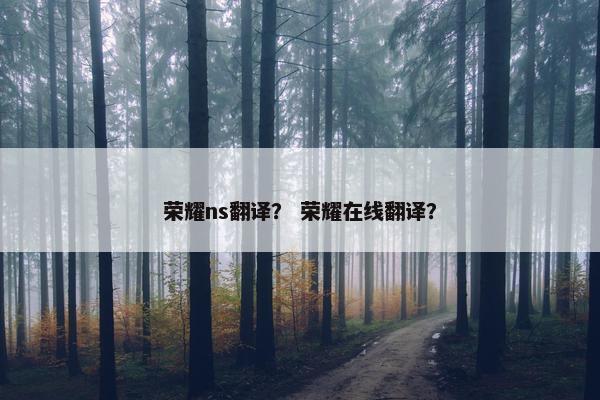 荣耀ns翻译？ 荣耀在线翻译？