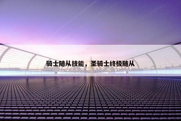 骑士随从技能，圣骑士终极随从