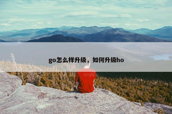 go怎么样升级，如何升级ho