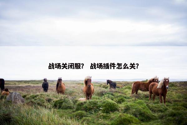 战场关闭服？ 战场插件怎么关？