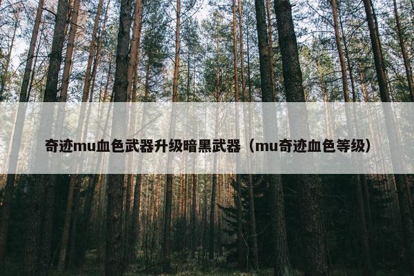 奇迹mu血色武器升级暗黑武器（mu奇迹血色等级）