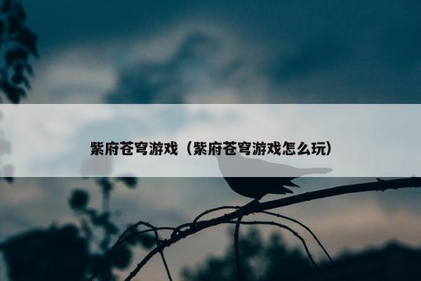 紫府苍穹游戏（紫府苍穹游戏怎么玩）