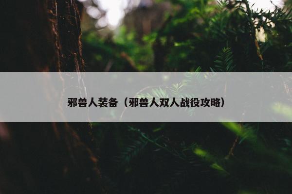 邪兽人装备（邪兽人双人战役攻略）