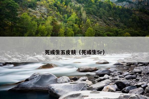 死或生五皮肤（死或生5r）