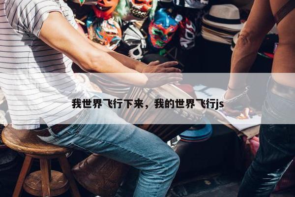 我世界飞行下来，我的世界飞行js