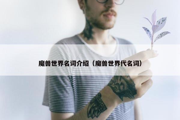 魔兽世界名词介绍（魔兽世界代名词）