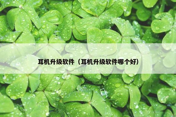耳机升级软件（耳机升级软件哪个好）