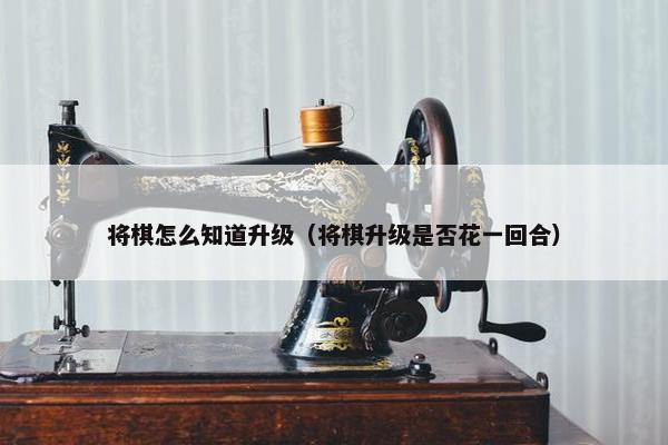 将棋怎么知道升级（将棋升级是否花一回合）