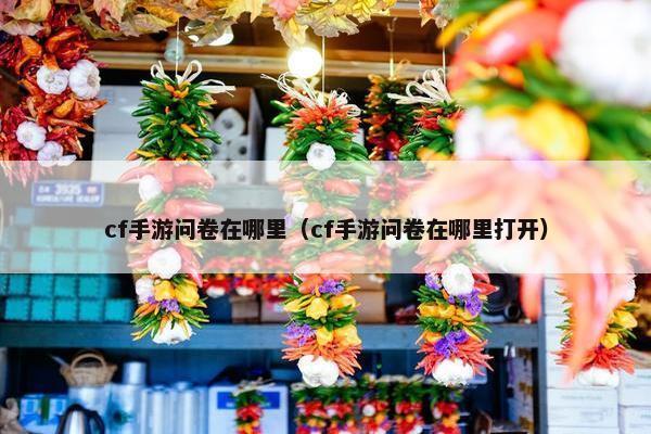 cf手游问卷在哪里（cf手游问卷在哪里打开）