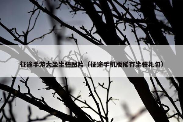 征途手游大圣坐骑图片（征途手机版稀有坐骑礼包）