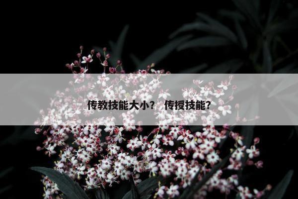 传教技能大小？ 传授技能？