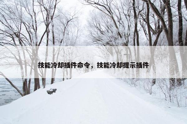 技能冷却插件命令，技能冷却提示插件