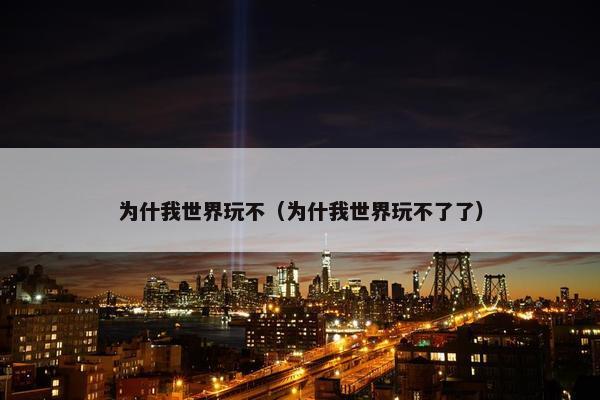为什我世界玩不（为什我世界玩不了了）
