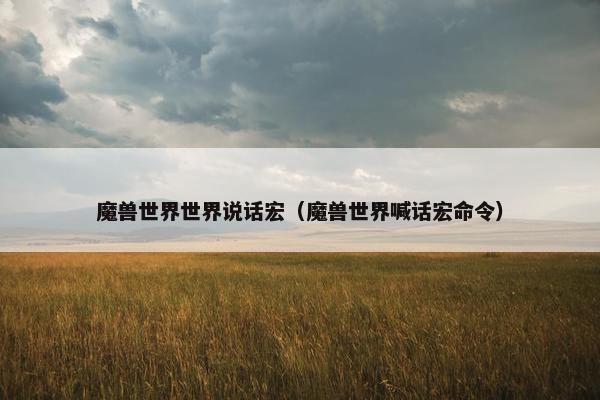 魔兽世界世界说话宏（魔兽世界喊话宏命令）