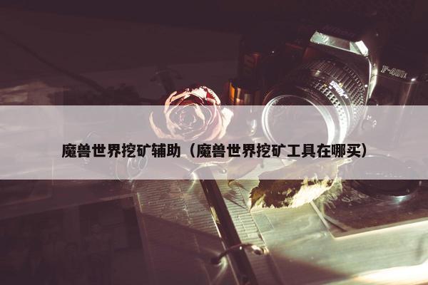 魔兽世界挖矿辅助（魔兽世界挖矿工具在哪买）