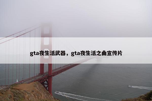 gta夜生活武器，gta夜生活之曲宣传片