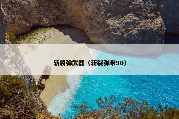 斩裂弹武器（斩裂弹带90）
