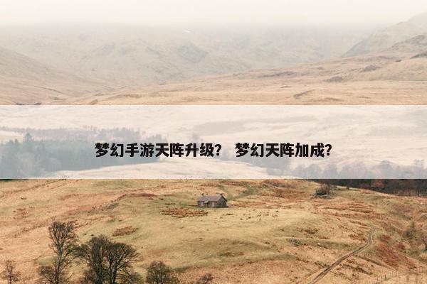 梦幻手游天阵升级？ 梦幻天阵加成？