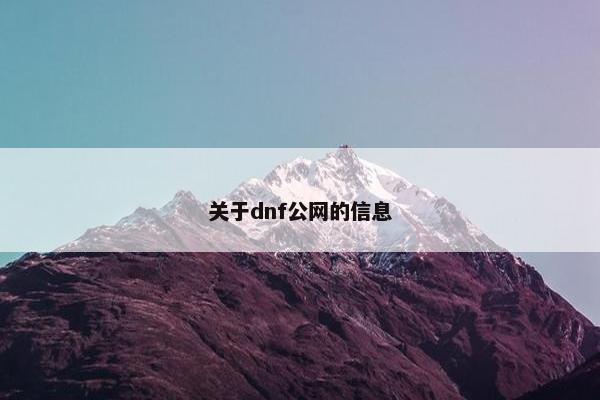 关于dnf公网的信息