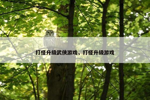 打怪升级武侠游戏，打怪升级游戏