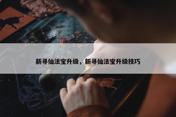 新寻仙法宝升级，新寻仙法宝升级技巧