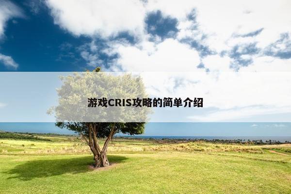 游戏CRIS攻略的简单介绍