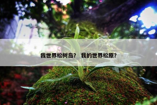 我世界松树岛？ 我的世界松原？