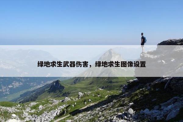 绿地求生武器伤害，绿地求生图像设置