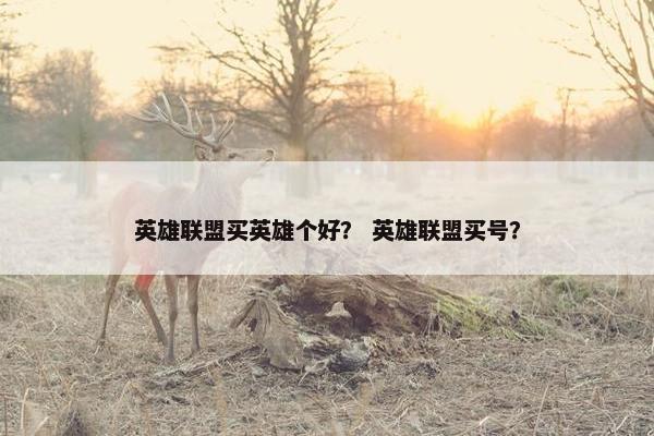 英雄联盟买英雄个好？ 英雄联盟买号？