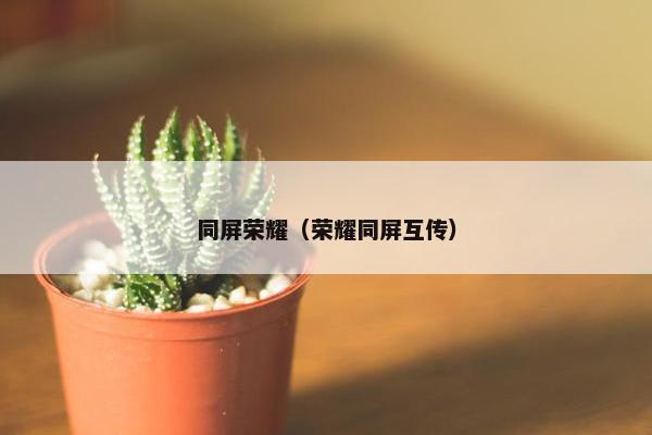 同屏荣耀（荣耀同屏互传）