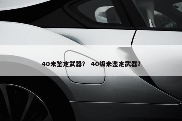 40未鉴定武器？ 40级未鉴定武器？