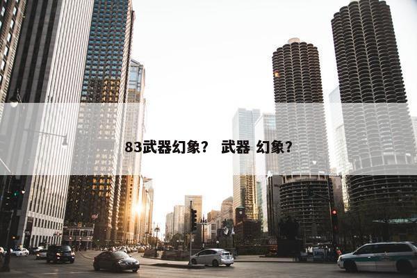 83武器幻象？ 武器 幻象？