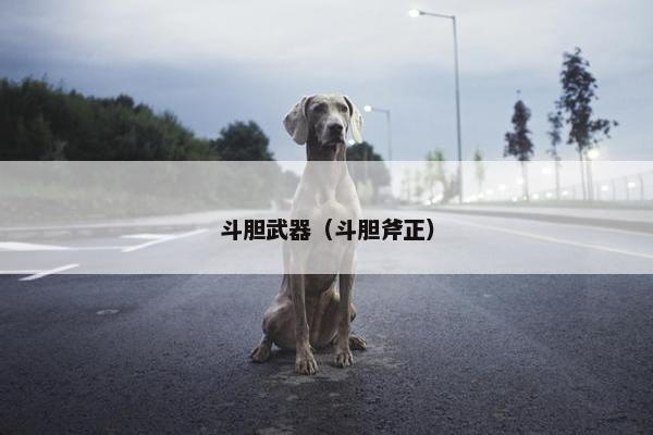 斗胆武器（斗胆斧正）