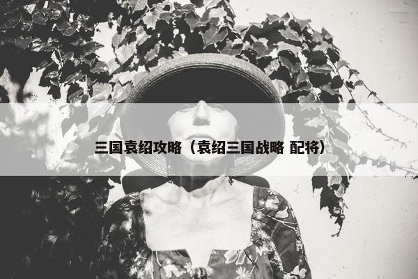 三国袁绍攻略（袁绍三国战略 配将）