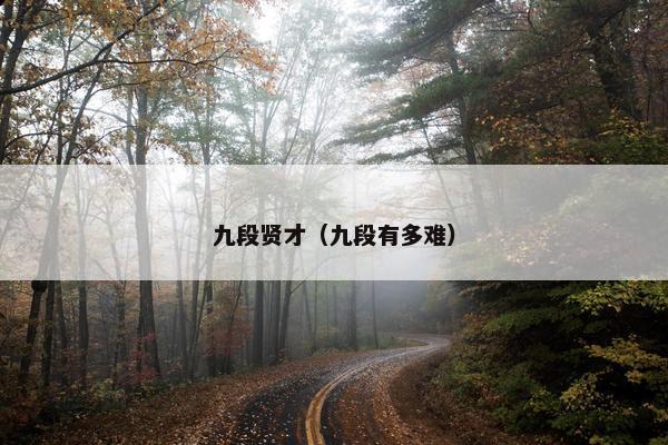 九段贤才（九段有多难）