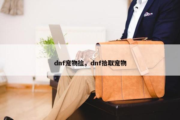 dnf宠物捡，dnf拾取宠物