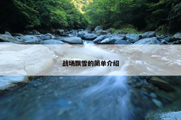 战场飘雪的简单介绍