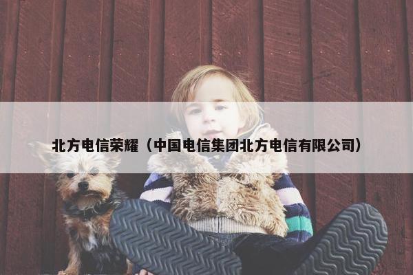 北方电信荣耀（中国电信集团北方电信有限公司）
