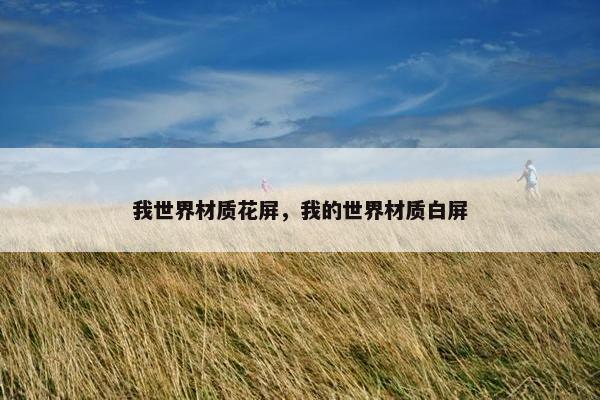 我世界材质花屏，我的世界材质白屏