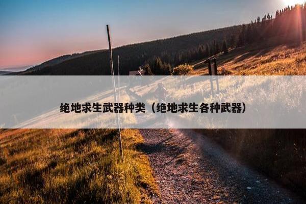 绝地求生武器种类（绝地求生各种武器）