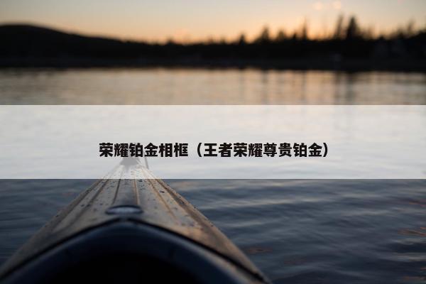 荣耀铂金相框（王者荣耀尊贵铂金）