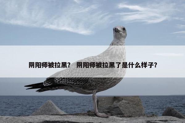 阴阳师被拉黑？ 阴阳师被拉黑了是什么样子？
