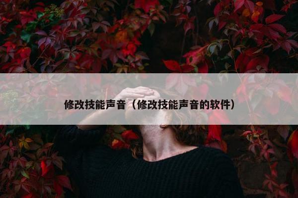 修改技能声音（修改技能声音的软件）