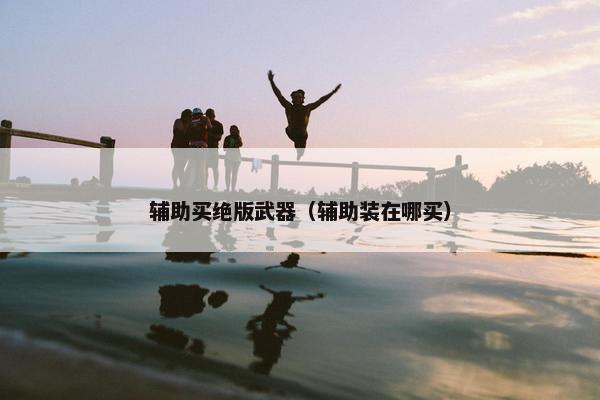 辅助买绝版武器（辅助装在哪买）