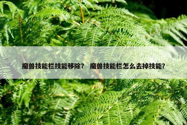 魔兽技能栏技能移除？ 魔兽技能栏怎么去掉技能？