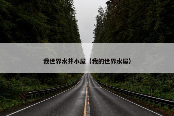 我世界水井小屋（我的世界水屋）