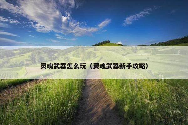 灵魂武器怎么玩（灵魂武器新手攻略）